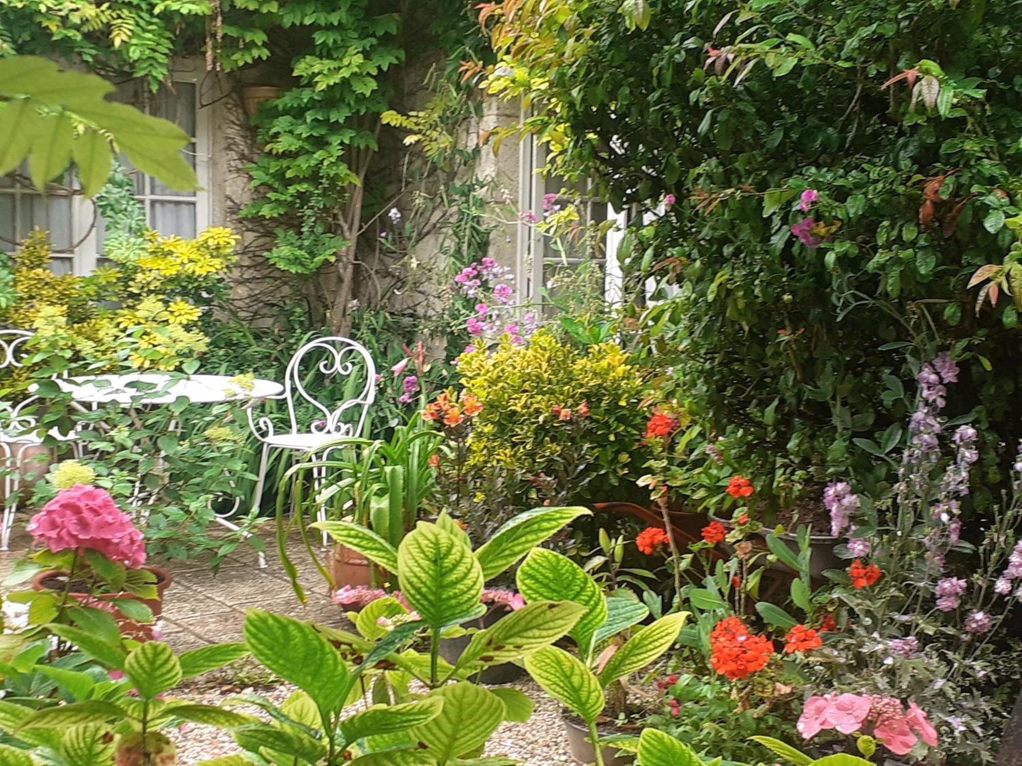 La Glycine Hotel Asnelles Luaran gambar